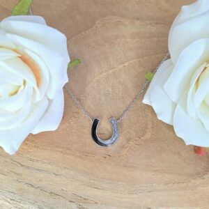 Hufeisenhalskette Silber mit Haare/Asche verewigt nach deinen Wünschen (925 Sterling Silber)